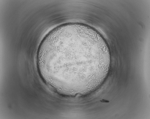 X0000113640895200910162035