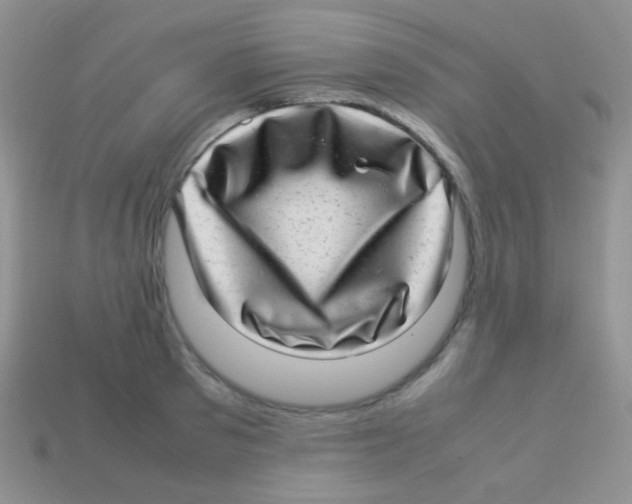 X0000113640897200910162035