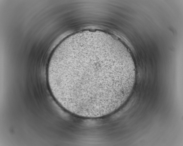 X0000113640898200910162035