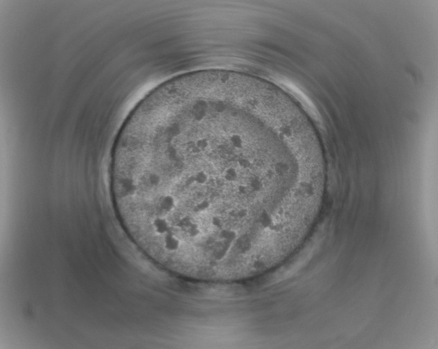 X0000113640899200910162035