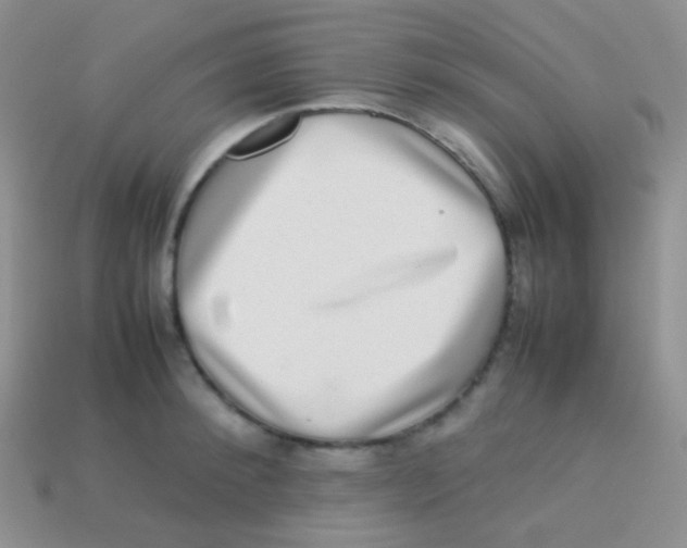 X0000113640900200910162035