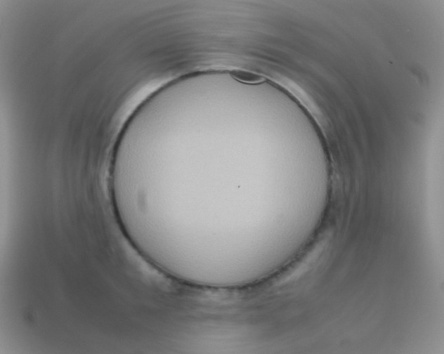 X0000113640901200910162035