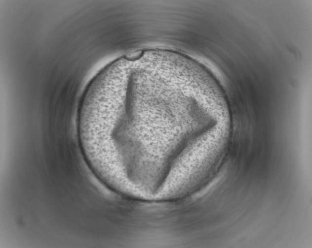 X0000113640902200910162034