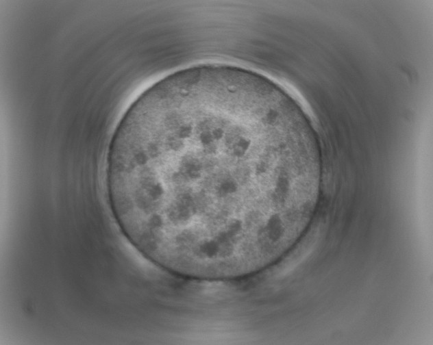 X0000113640903200910162034