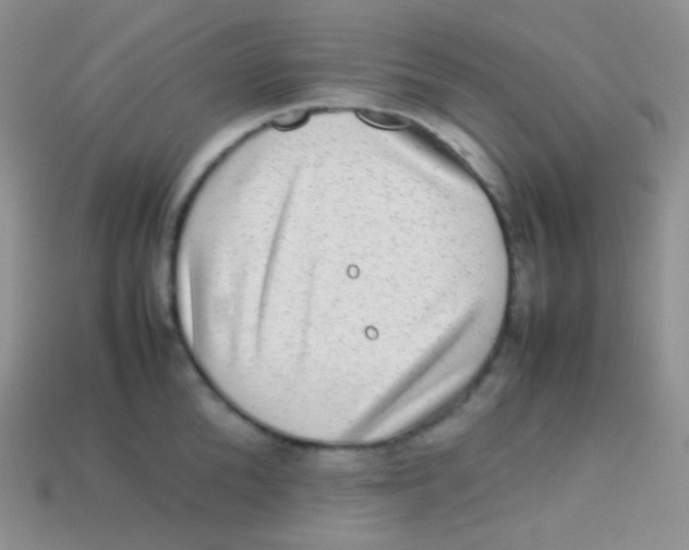 X0000113640904200910162034