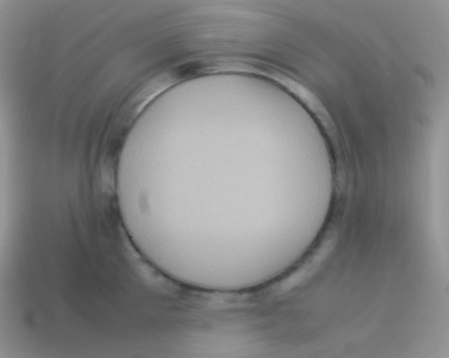 X0000113640905200910162034