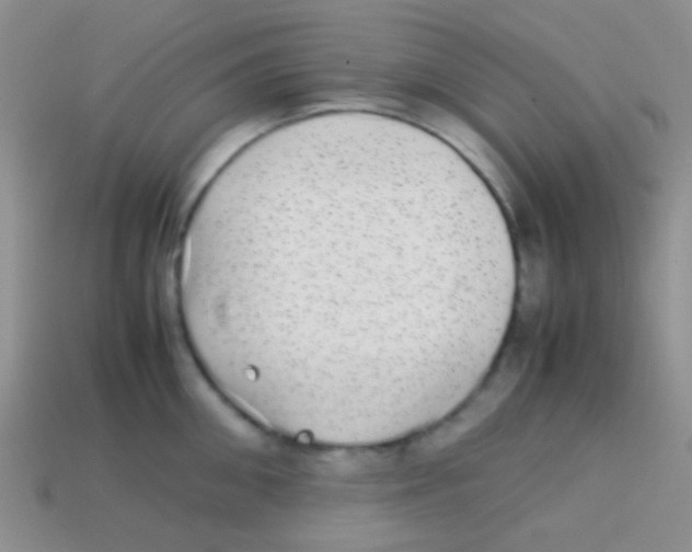 X0000113640906200910162034