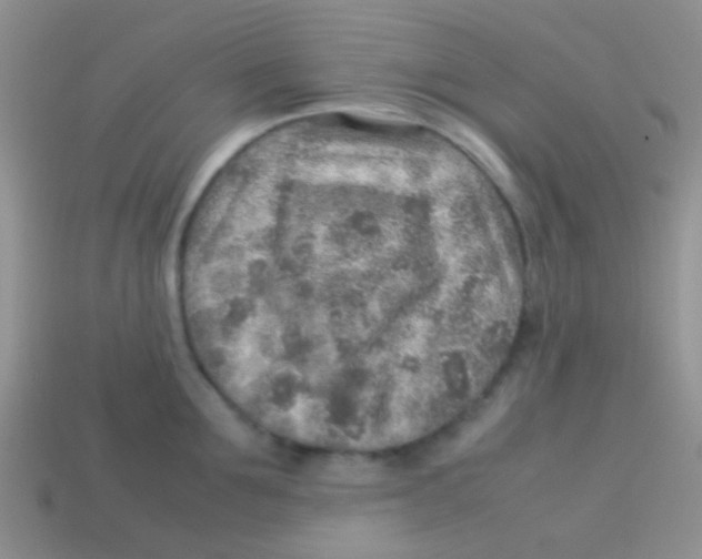 X0000113640907200910162034