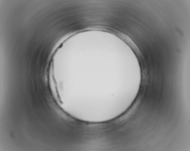 X0000113640908200910162034