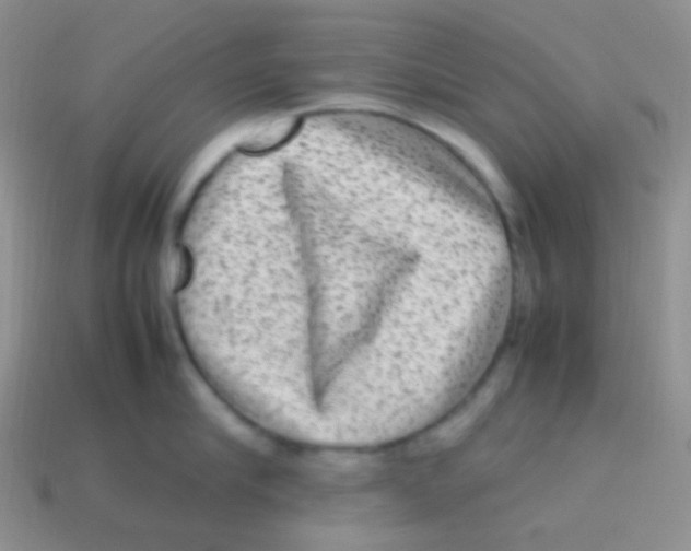 X0000113640910200910162034