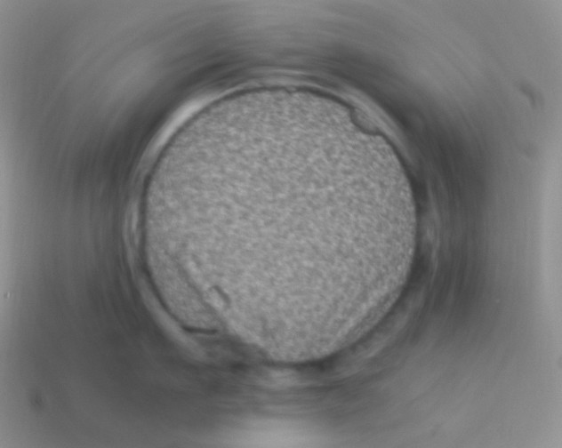 X0000113640911200910162034