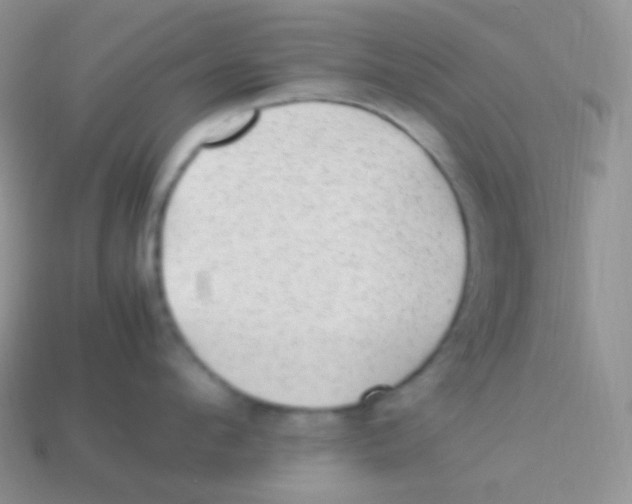 X0000113640912200910162034