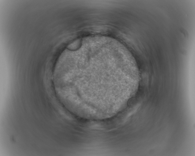 X0000113640913200910162034