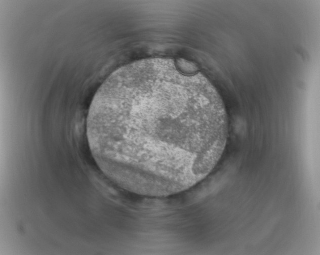 X0000113640914200910162034