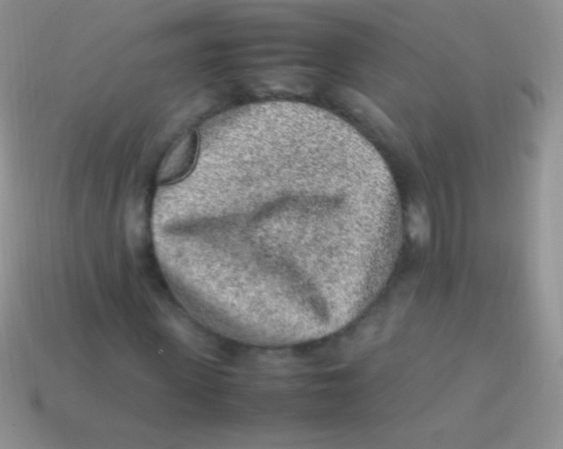 X0000113640915200910162034