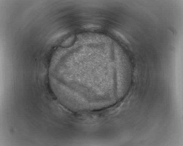 X0000113640917200910162034