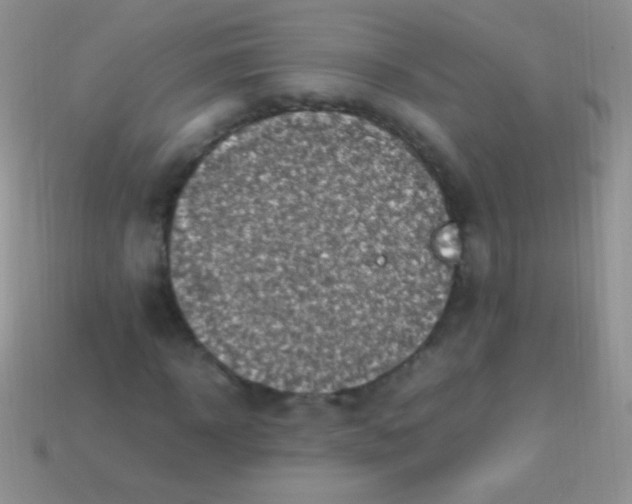 X0000113640918200910162034