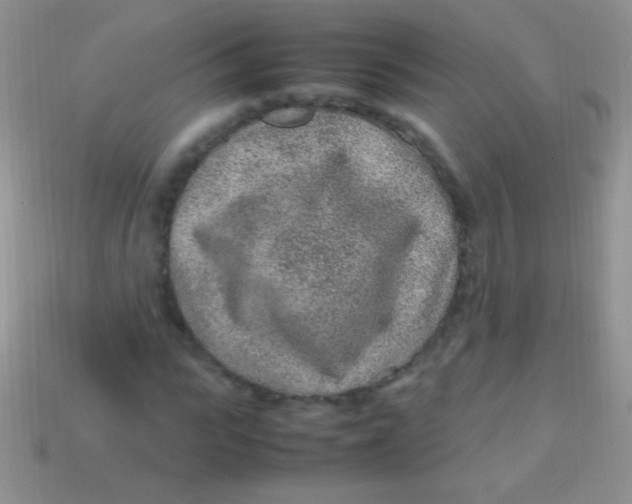 X0000113640919200910162034