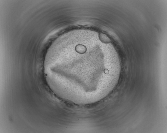 X0000113640920200910162034