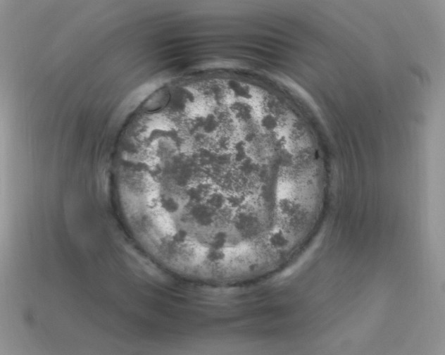 X0000113640921200910162034