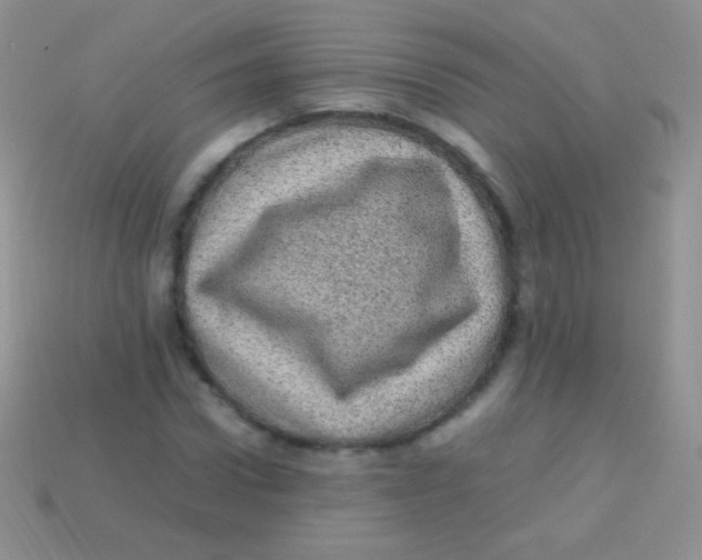 X0000113640922200910162034