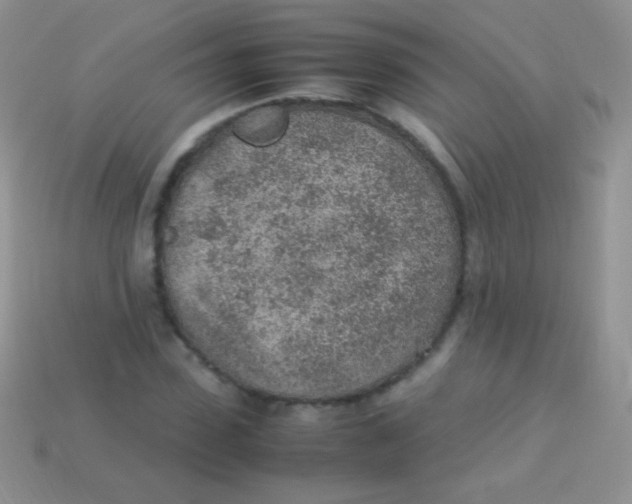 X0000113640923200910162034