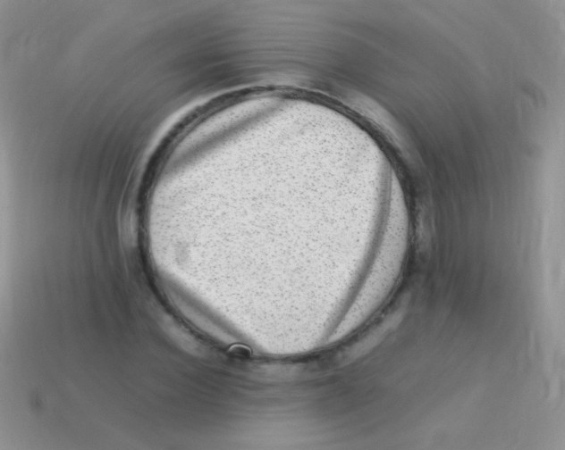 X0000113640924200910162034