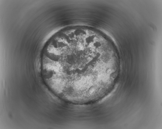 X0000113640925200910162034