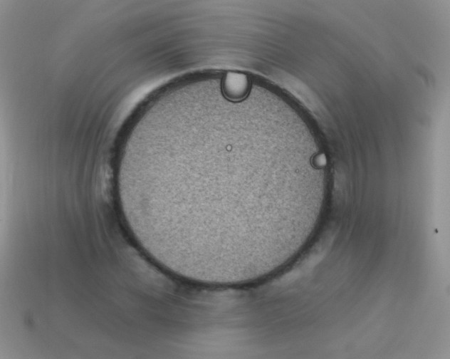 X0000113640926200910162034