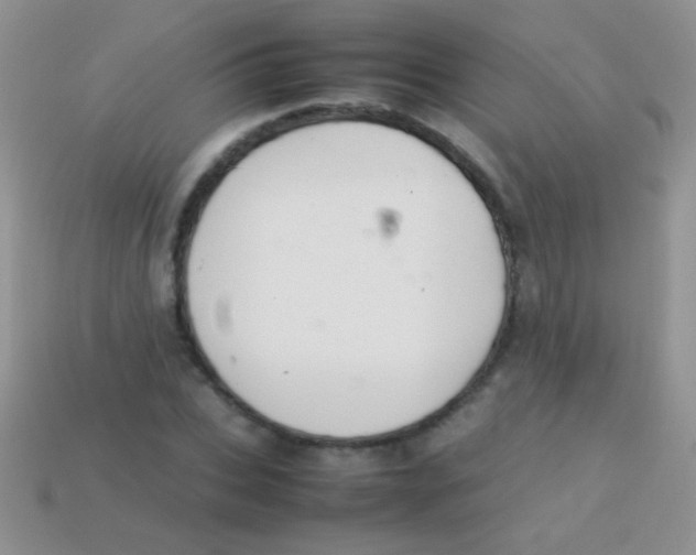 X0000113640927200910162034