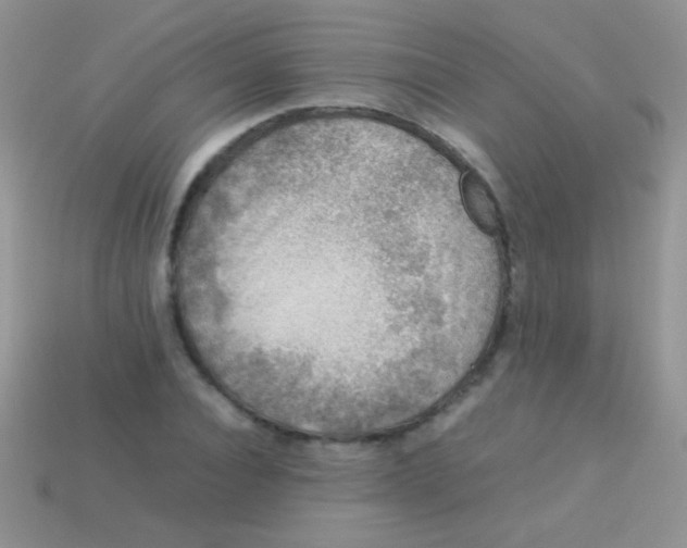 X0000113640928200910162034