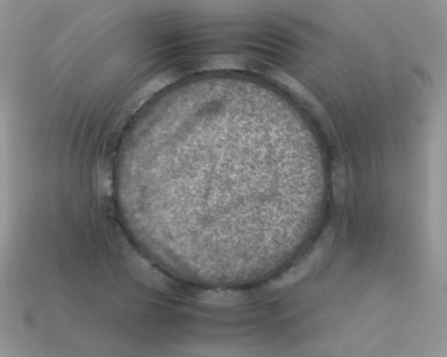 X0000113640929200910162034