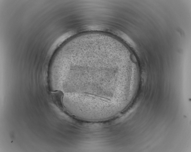 X0000113640930200910162034