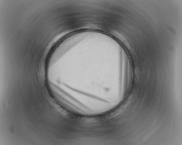 X0000113640931200910162034