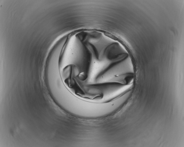 X0000113640932200910162034