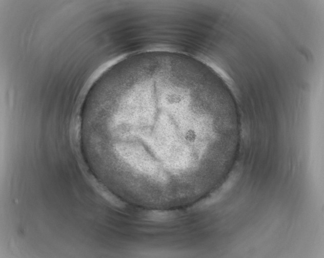 X0000113640933200910162034