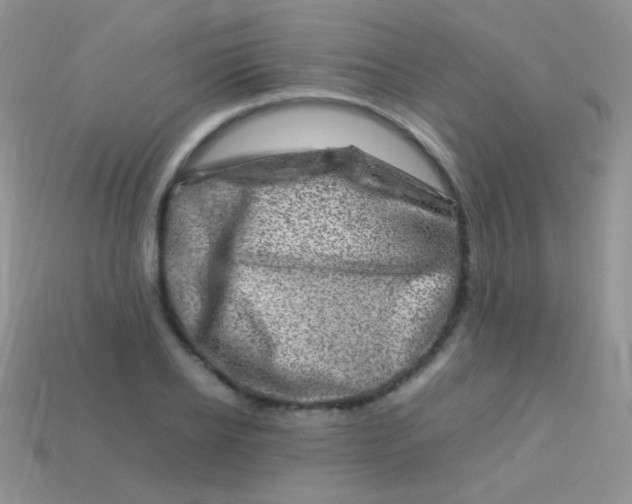 X0000113640934200910162034