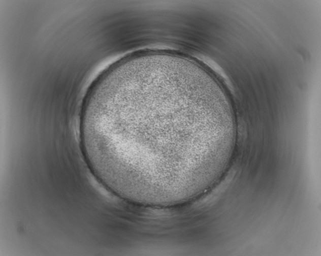 X0000113640935200910162034