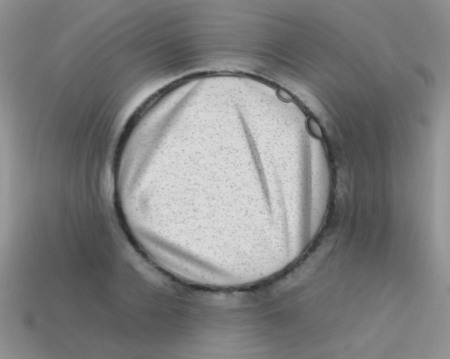 X0000113640936200910162034