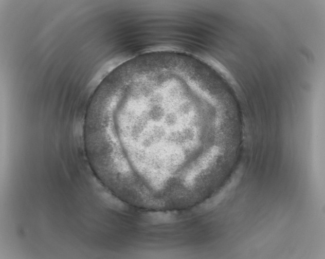 X0000113640937200910162034