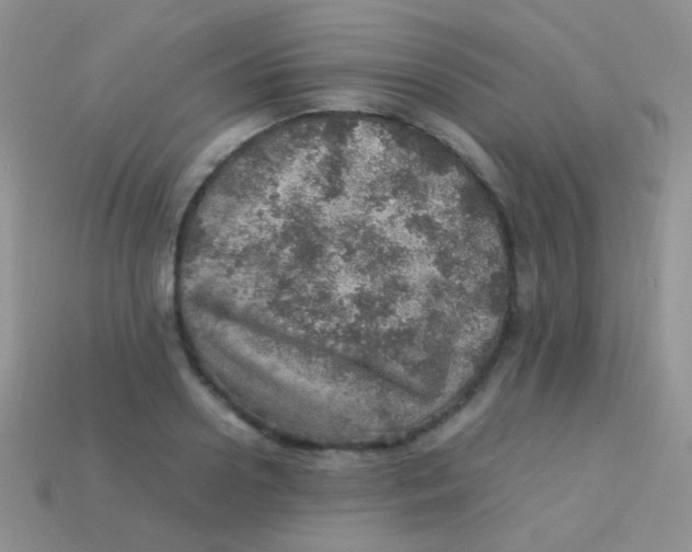 X0000113640938200910162034