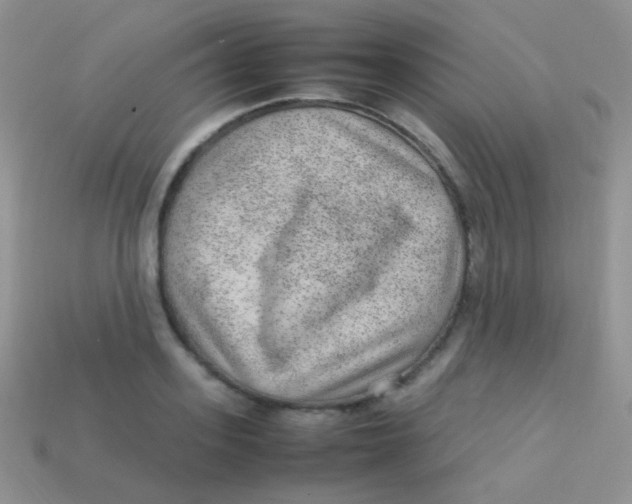 X0000113640939200910162034