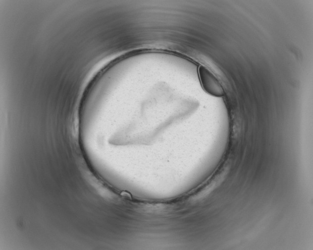 X0000113640940200910162034