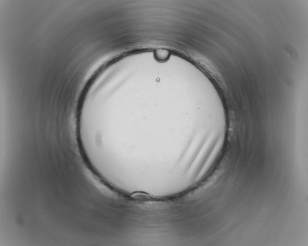 X0000113640942200910162034