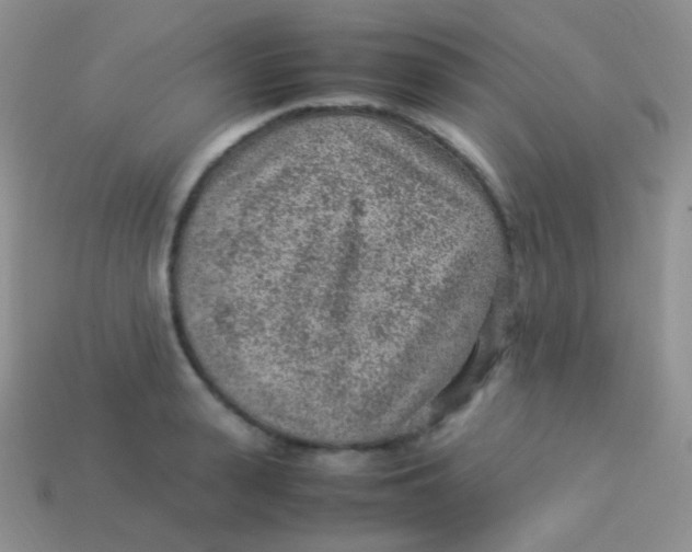 X0000113640943200910162034