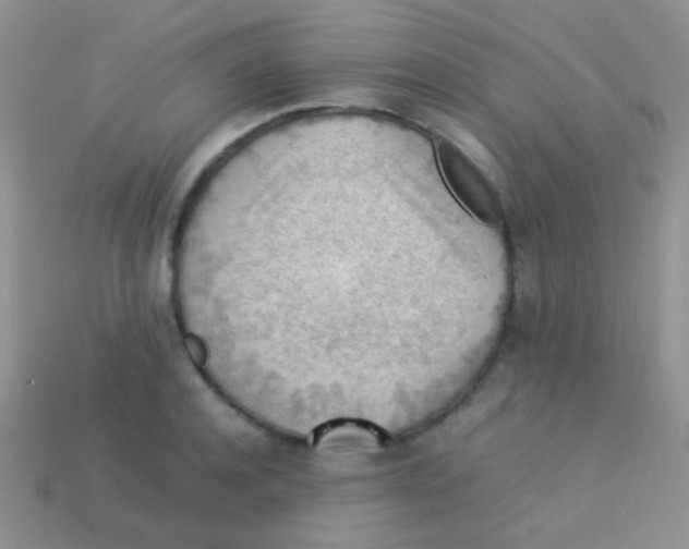 X0000113640944200910162034