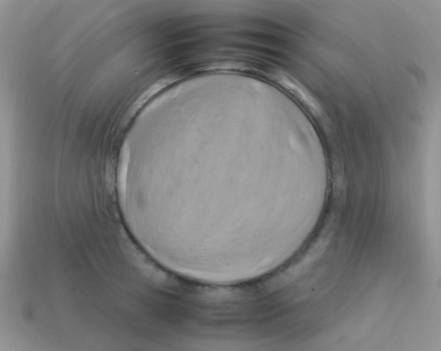 X0000113640945200910162034