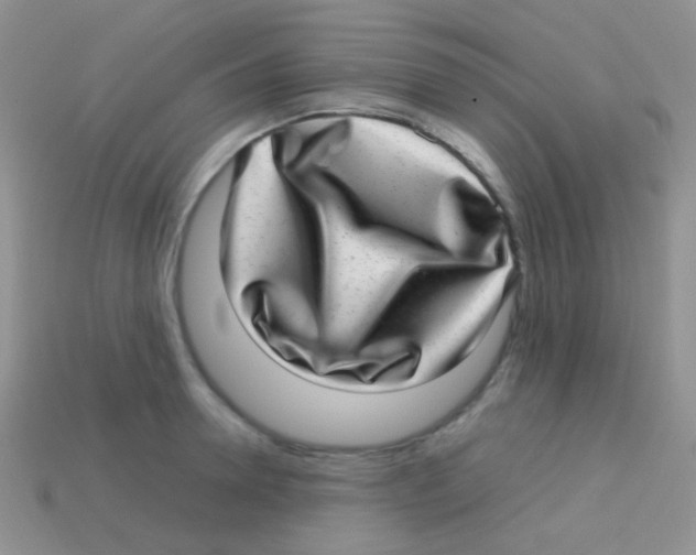 X0000113640946200910162034