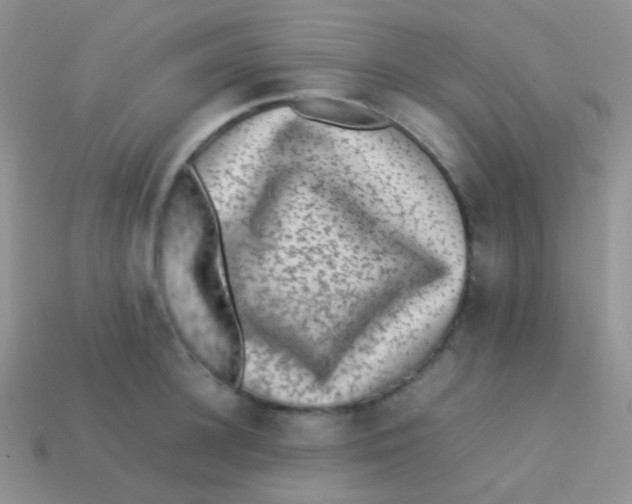 X0000113640948200910162034