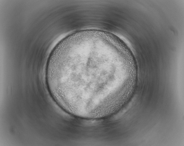 X0000113640949200910162034